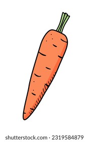 Carrot icon doodle. Vector drawing vegetable on a white background.