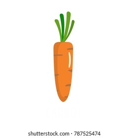 Carrot icon. Flat illustration of carrot vector icon isolated on white background