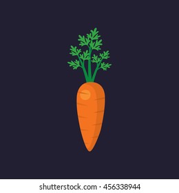 carrot icon in flat style
