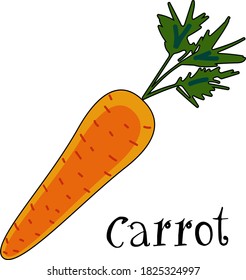 Carrot icon flat vector illustration isolated on white background with title