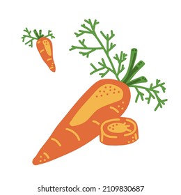 Carrot. Wholе, sliсe and icon carrot. Good for posters, package, t-shirts, postcards, shopping bags. Vector hand draw cartoon illustration.  