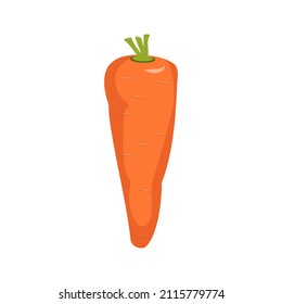 Carrot icon. Healthy food, orange vegetable. Source of vitamins A, sweet snack. An ingredient for lunch or dinner. Carrot root vegetable for planting in spring or summer. Vector flat illustration