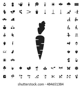 Carrot icon illustration isolated vector sign symbol