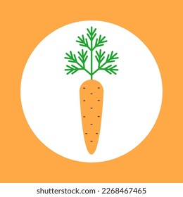 carrot icon isolated in the circle. Vector.