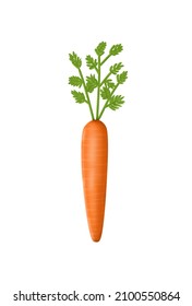 Carrot icon isolated on white backgroun. Vector illustration. 