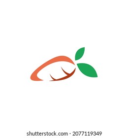 Carrot icon logo flat design template vector