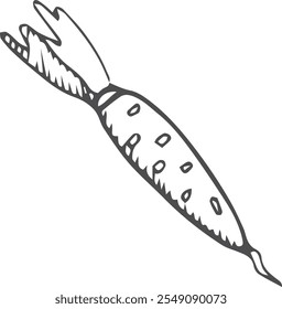 Ícone de cenoura. Desenho de linha vegetal de raiz natural
