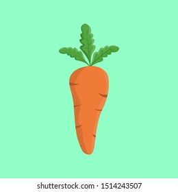 
Carrot icon, on the green background. Flat design