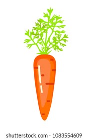 Carrot icon  on transparent  background