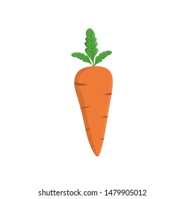 Carrot icon, on the white background. Flat design.