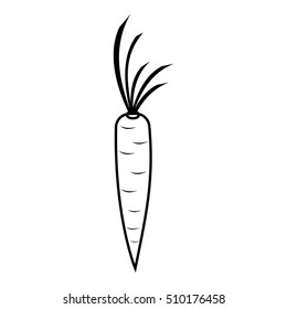 Carrot icon. Outline illustration of carrot vector icon for web
