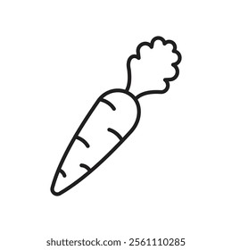 Carrot icon Outline vector line symbol