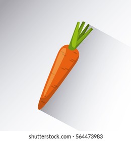 carrot icon over white background. colorful design. vector illustration