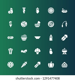 carrot icon set. Collection of 25 filled carrot icons included Kanji vadas, Paprika, Courgette, Carrot, Cabbage, Bowl, Aubergine, Broccoli, Feeder, Cucumber, Turnip