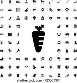 Carrot icon. set of filled agriculture icons.