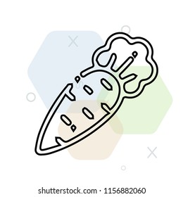 Carrot icon vector can be used as png, Carrot