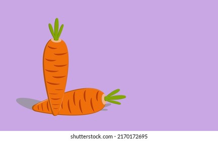 Carrot icon vector cartoon illustration best for your picture decoration. Daucus carota L