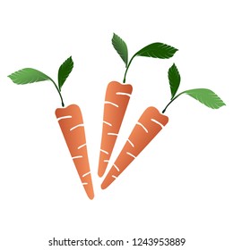 carrot icon vector illustration