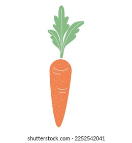 Carrot icon. Vector illustration isolated on white background