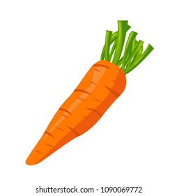 Carrot icon vector illustration on white