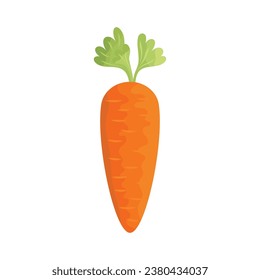 Carrot icon vector illustration. Vegetable on isolated background. Agriculture plant sign concept.
