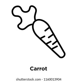 Carrot icon vector isolated on white background, Carrot transparent sign , line or linear sign, element design in outline style