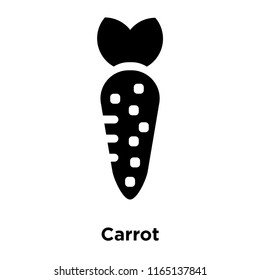 Carrot icon vector isolated on white background, Carrot transparent sign , food and fruit symbols