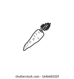 carrot Icon vector sign isolated for graphic and web design. carrot symbol template color editable on white background.