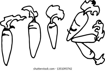 Carrot icon vector. Sketch design. Illustration for posters decoration.