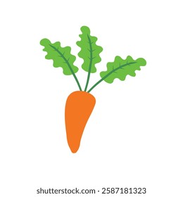 Carrot icon. carrot vegetable icon . Orange carrot with green leaves on a white background. Carrot icon. Vector flat isolated on white. 