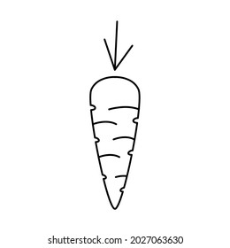 carrot icons symbol vector elements for infographic web