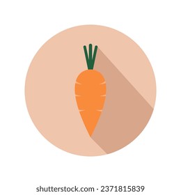 Carrot illustrated in vector on background