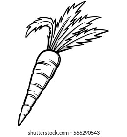 Carrot Illustration