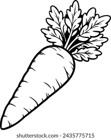 carrot illustration for coloring book