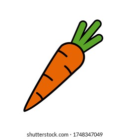 
carrot illustration in a flat style. the theme of vegetables and healthy food. carrot