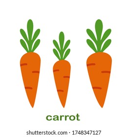 
carrot illustration in a flat style. the theme of vegetables and healthy food. carrot