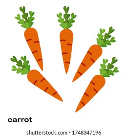 
carrot illustration in a flat style. the theme of vegetables and healthy food. carrot