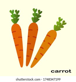 
carrot illustration in a flat style. the theme of vegetables and healthy food. carrot