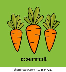 
carrot illustration in a flat style. the theme of vegetables and healthy food. carrot