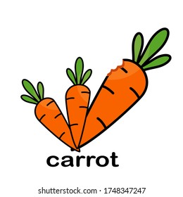 
carrot illustration in a flat style. the theme of vegetables and healthy food. carrot