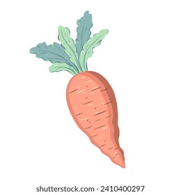 Carrot illustration isolated on white background. Hand drawn spring element in pastel colors.