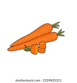 carrot illustration on white background