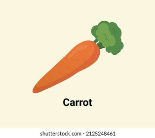 Carrot illustration set. Vegetable icon, market, store, grocery. Vegetable Vector drawing. Hand drawn style.