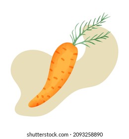 Carrot illustration. Simple hand drawn style.