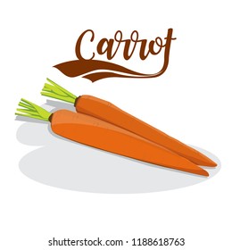 carrot illustration vector