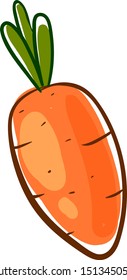 Carrot, illustration, vector on white background.