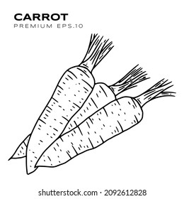 carrot illustration for vegetarians premium vector