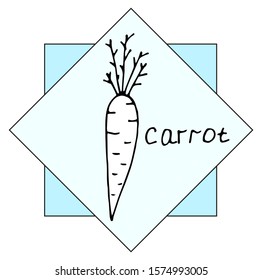 Carrot with the inscription on a beautiful background. Vegetarian. Elements for your design. A series of food and drink and culinary ingredients. Hand-drawn vector illustration.