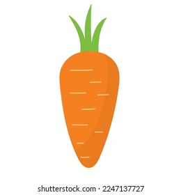 Carrot isolated element in cartoon style on white background. Organic healthy food clipart. Vector illustration