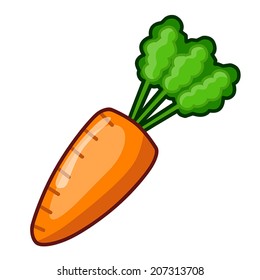 Carrot isolated illustration on white background